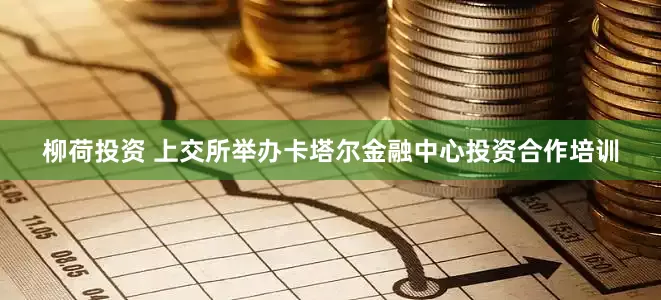 柳荷投资 上交所举办卡塔尔金融中心投资合作培训