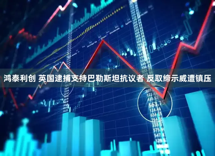 鸿泰利创 英国逮捕支持巴勒斯坦抗议者 反取缔示威遭镇压