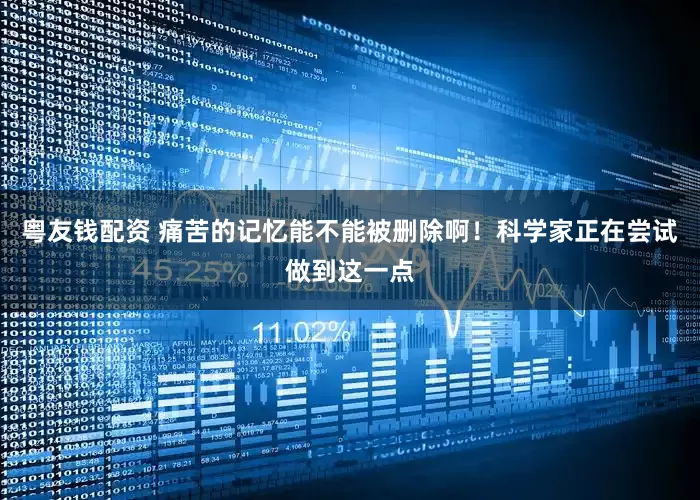 粤友钱配资 痛苦的记忆能不能被删除啊！科学家正在尝试做到这一点